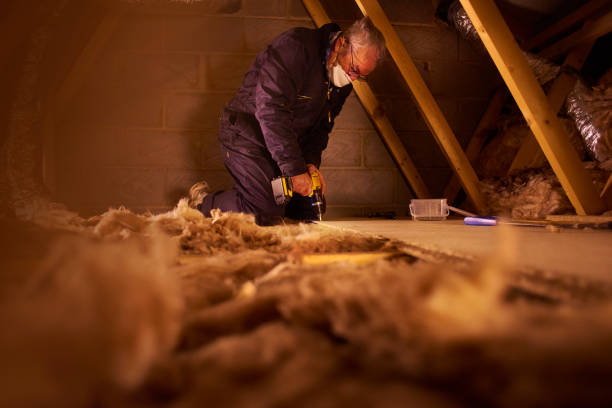 Best Insulation Maintenance and Repair in Alexandria Bay, NY